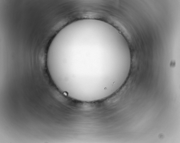 X0000103320305200809192146