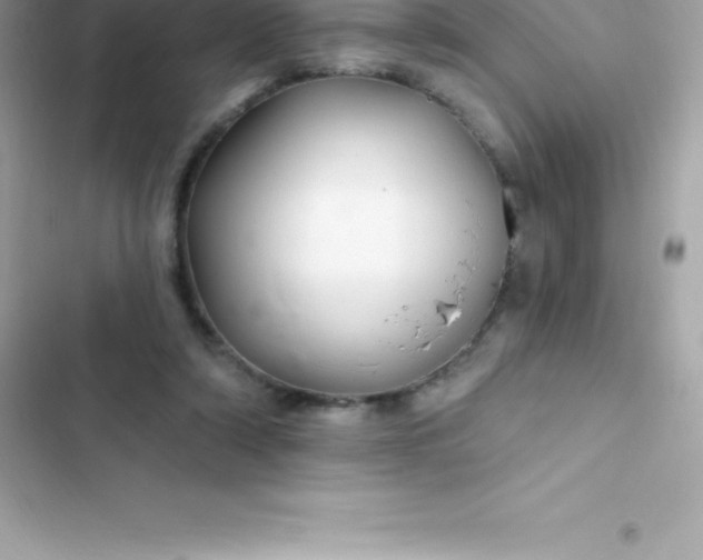 X0000103320306200809192146