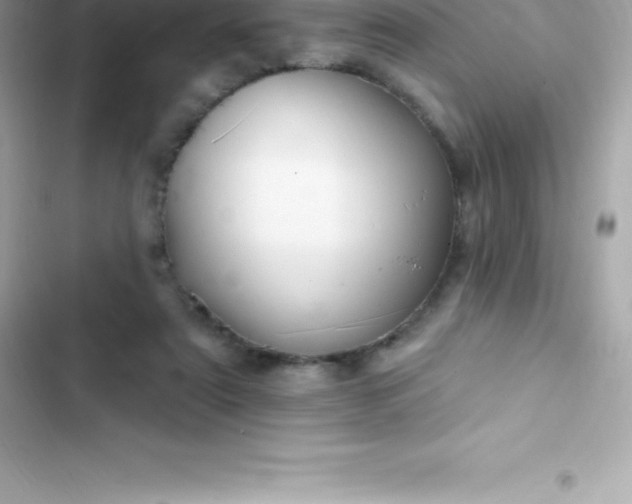 X0000103320307200809192146