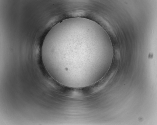 X0000103320308200809192146