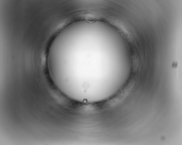 X0000103320310200809192146