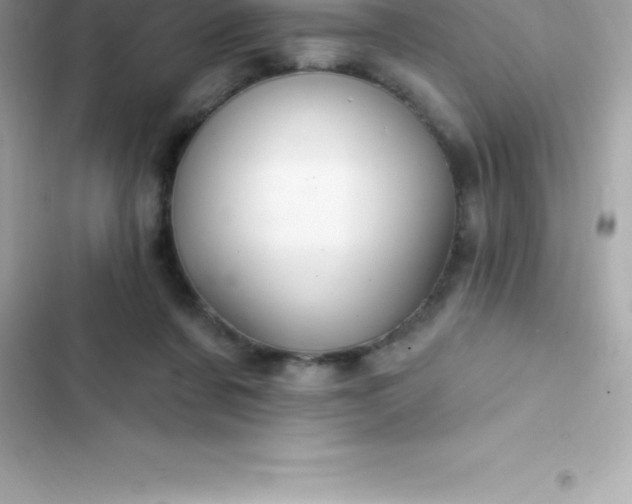 X0000103320311200809192146