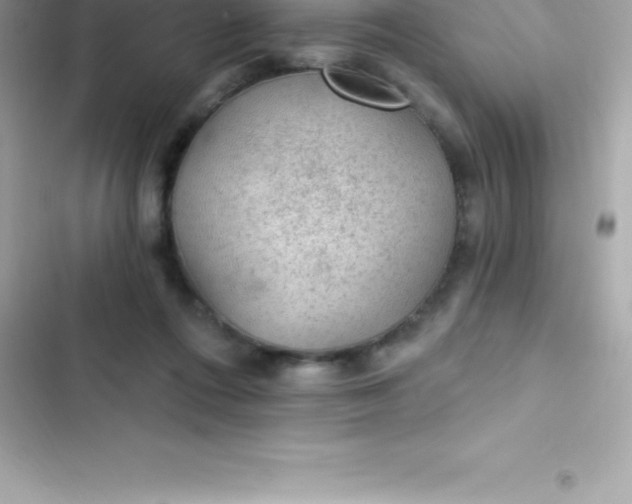 X0000103320312200809192146