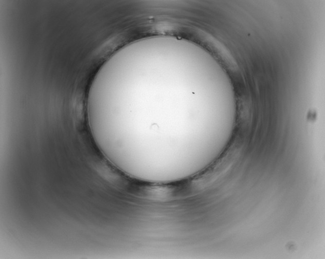 X0000103320313200809192146