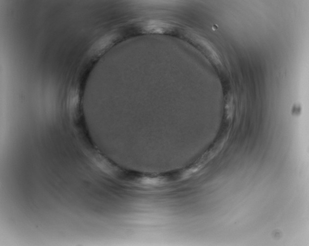 X0000103320314200809192146