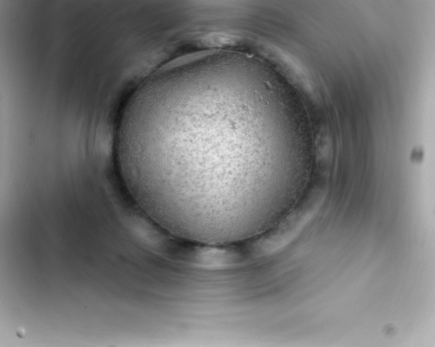 X0000103320315200809192146