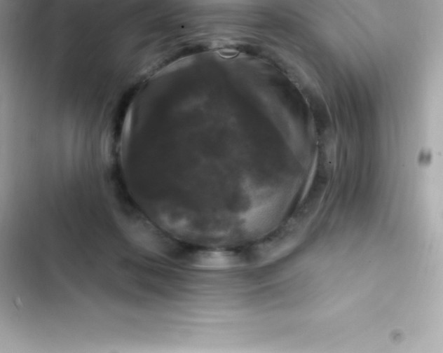 X0000103320316200809192146