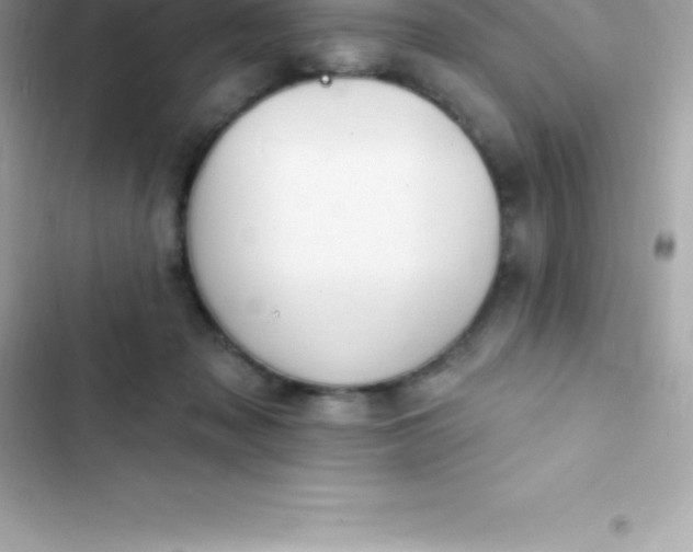 X0000103320317200809192146