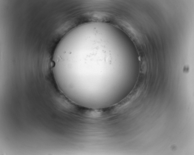 X0000103320318200809192146