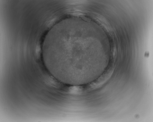 X0000103320320200809192146