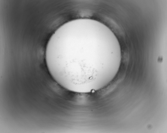 X0000103320321200809192146