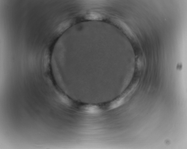 X0000103320322200809192146