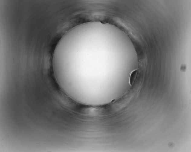 X0000103320323200809192146