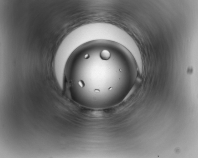 X0000103320324200809192146