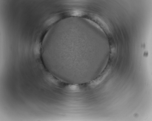 X0000103320325200809192146