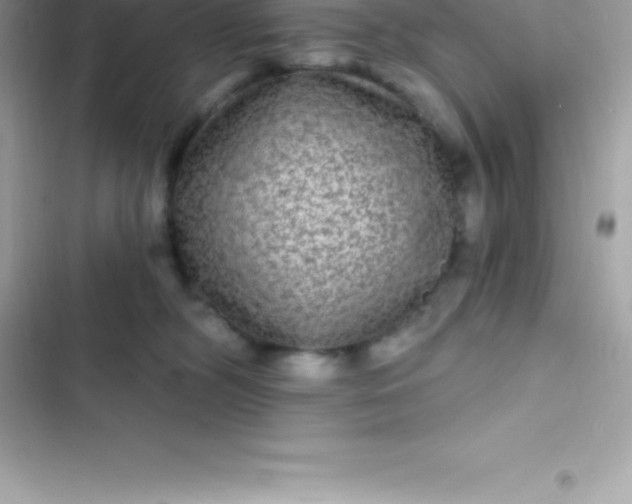 X0000103320326200809192146