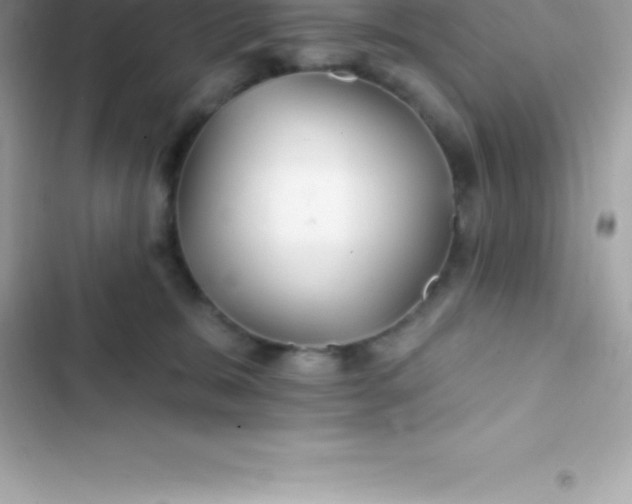 X0000103320327200809192146