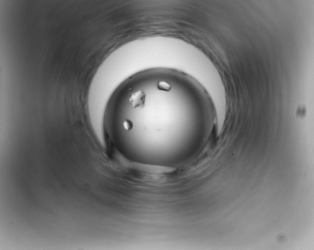 X0000103320328200809192146