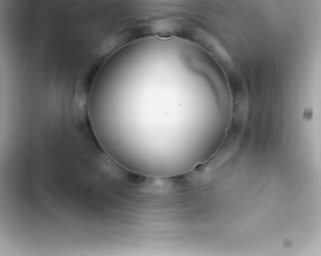 X0000103320329200809192146