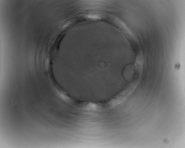 X0000103320330200809192146