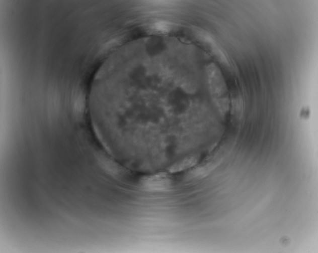 X0000103320331200809192146