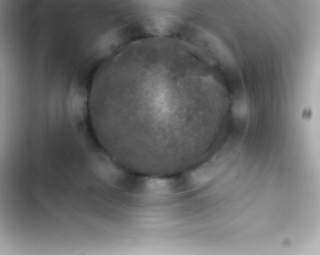 X0000103320332200809192146