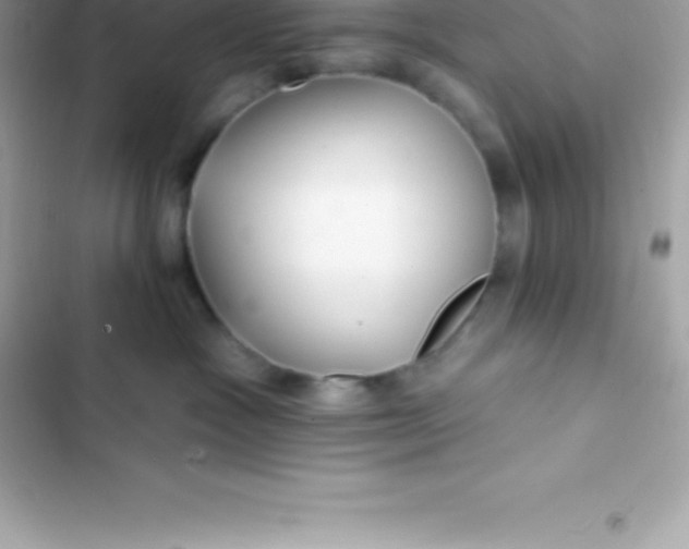 X0000103320333200809192146