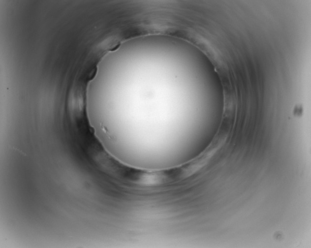 X0000103320334200809192146