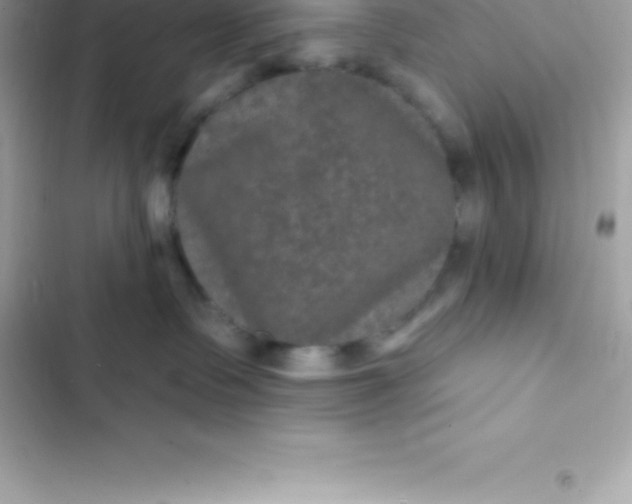 X0000103320335200809192146