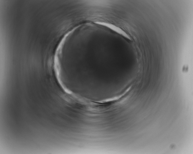 X0000103320336200809192146