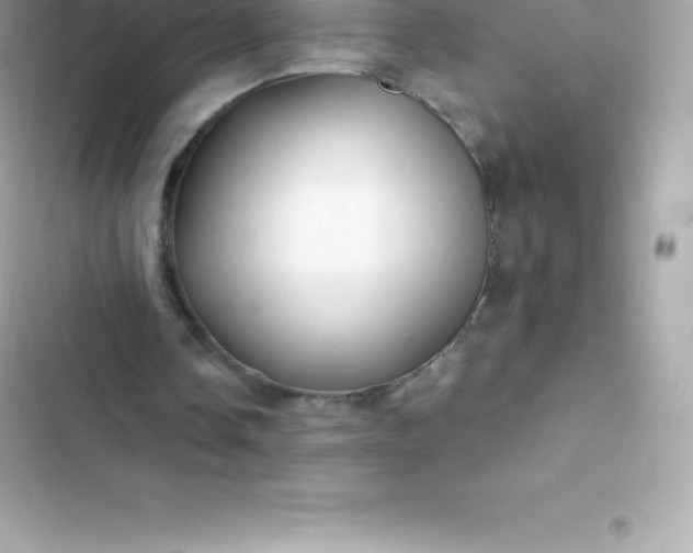 X0000103320338200809192145