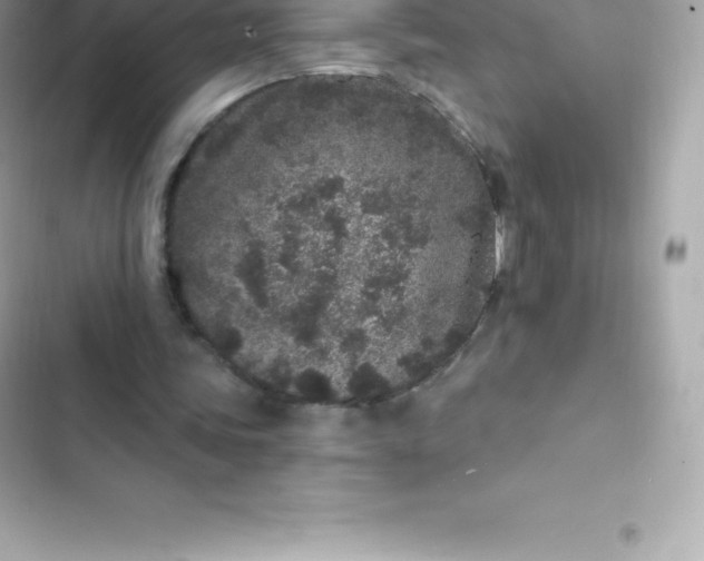 X0000103320339200809192145