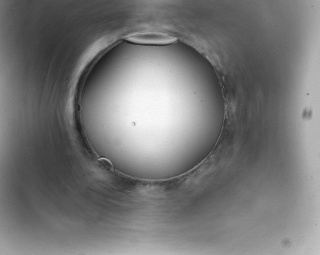 X0000103320340200809192145