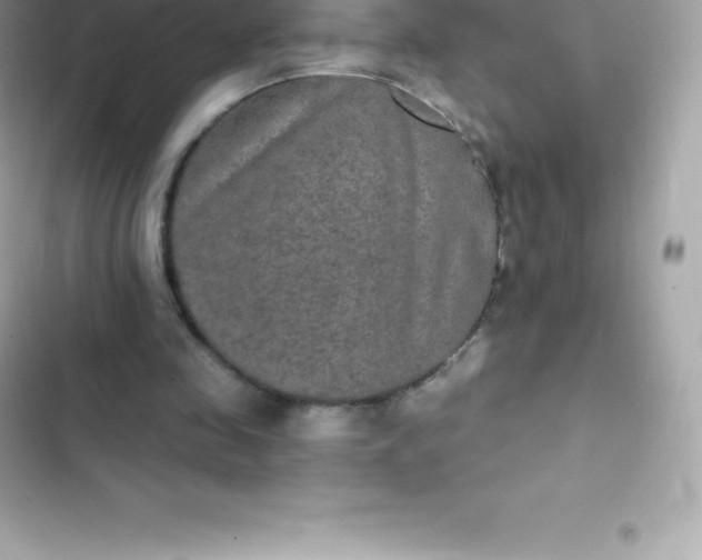 X0000103320341200809192145