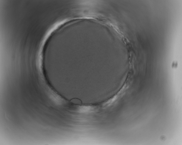 X0000103320342200809192145