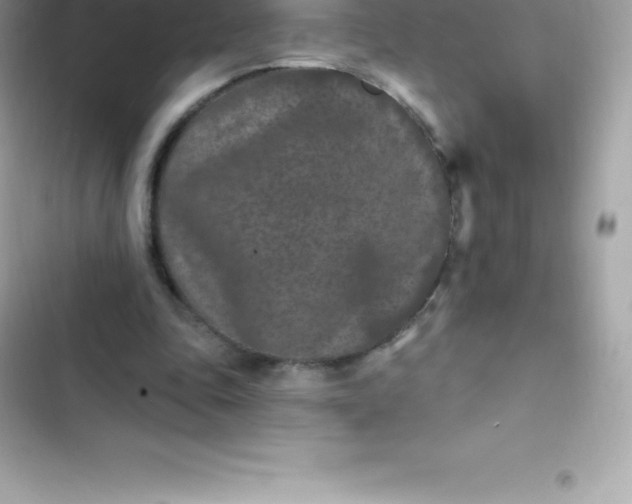 X0000103320343200809192145