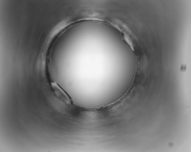 X0000103320344200809192145