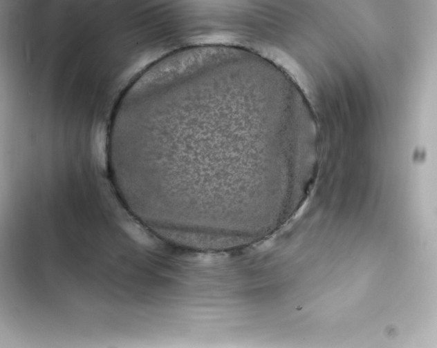 X0000103320345200809192145