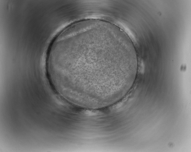 X0000103320346200809192145