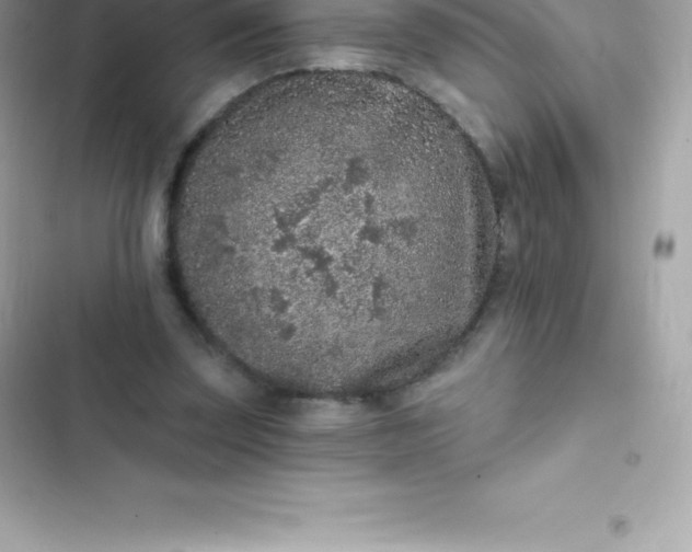 X0000103320347200809192145