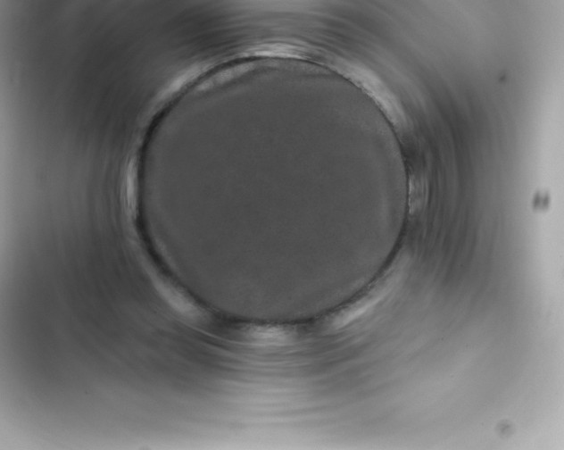 X0000103320349200809192145