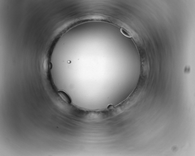 X0000103320350200809192145