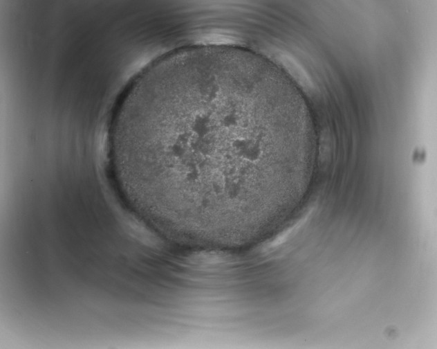 X0000103320351200809192145