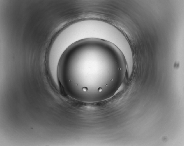 X0000103320352200809192145