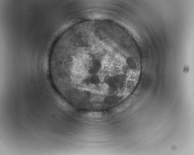 X0000103320353200809192145