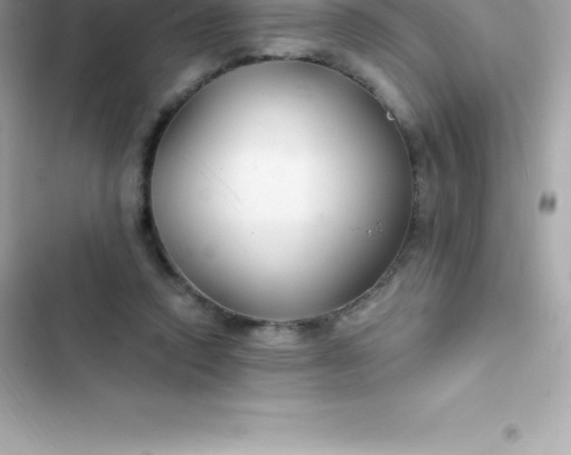 X0000103320354200809192145