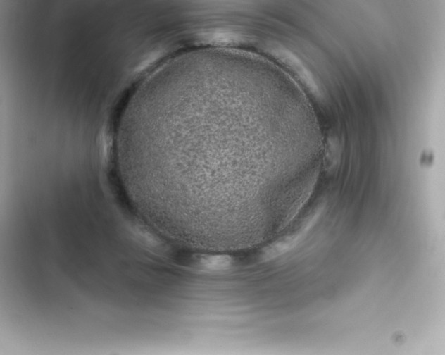 X0000103320355200809192145