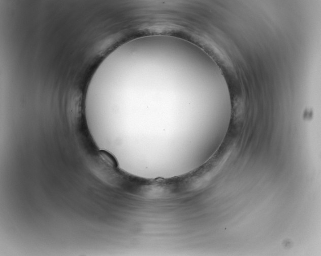 X0000103320356200809192145