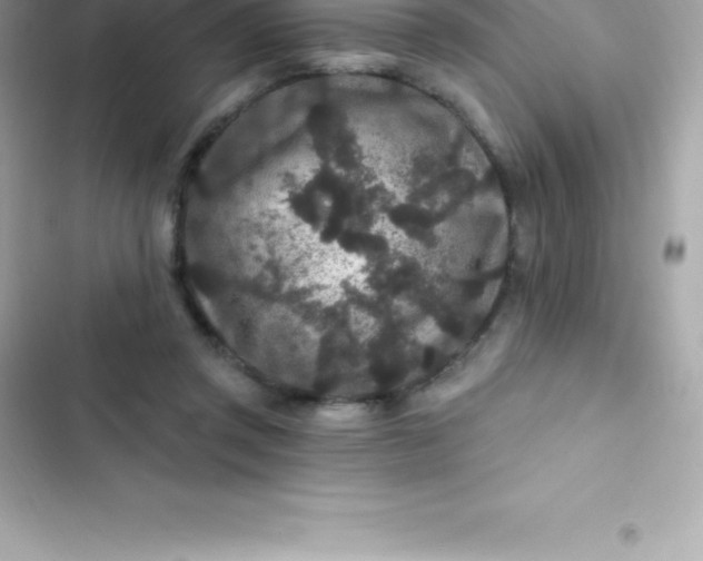 X0000103320357200809192145