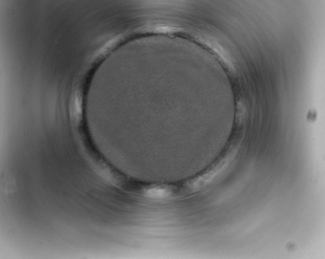 X0000103320358200809192145